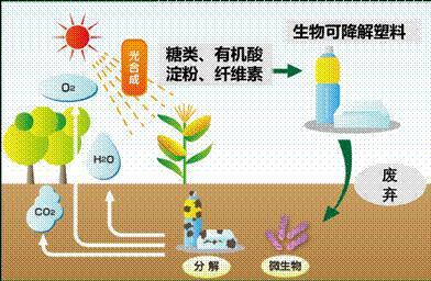 谈一谈可降解塑料新材料的发展前景！