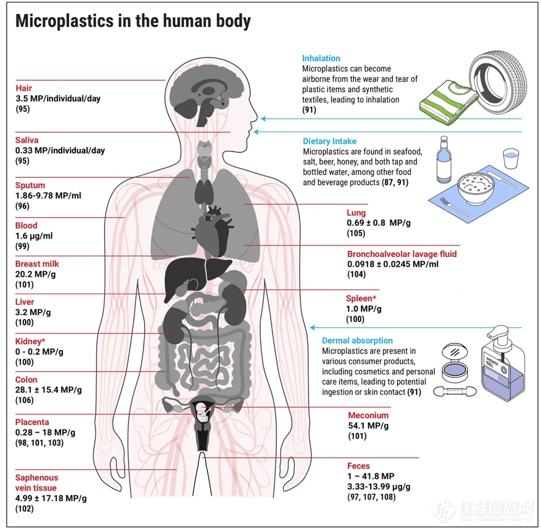 Science重磅综述：二十年的微塑料污染研究——我们学到什么？(图4)