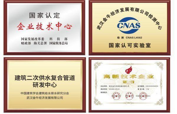 武汉金牛：荣获“2024中国塑料管道十大品牌”等多项大奖(图2)