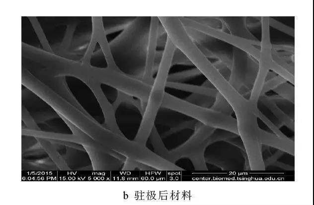 一文看懂熔喷布驻极处理(图2)