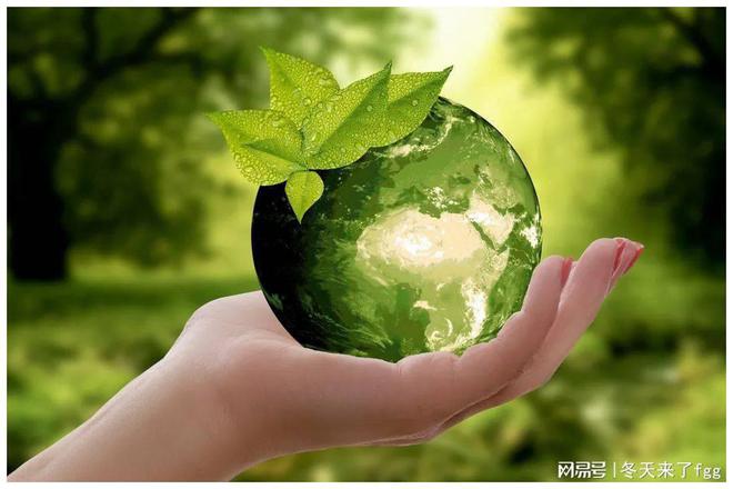 可生物降解塑料：从概念到现实的绿色跨越(图4)