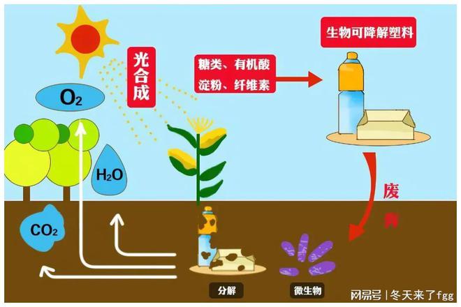 可生物降解塑料：从概念到现实的绿色跨越