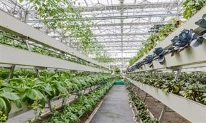 2024前沿新材料行业发展前景研究：新材料领域必将迎来发展的黄金时期(图3)