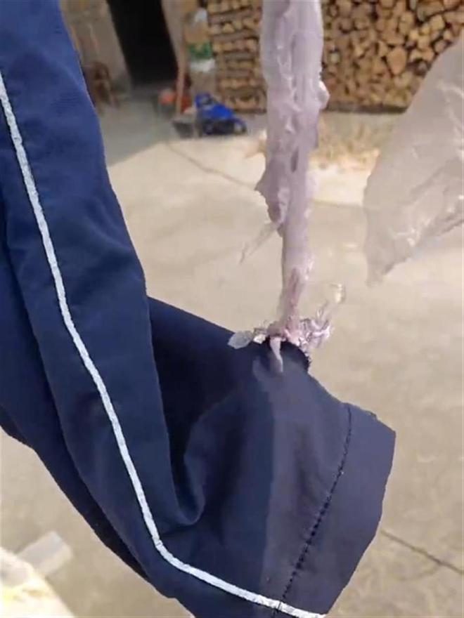 太讽刺了！家长从学生冬季校服中扯出薄膜学校：用途是防风防水(图1)