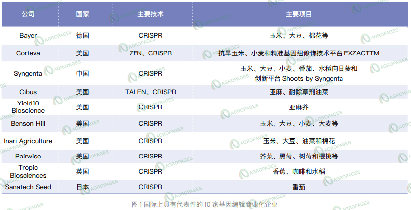 基因编辑技术：驱动农业革新与全球发展的新引擎-世界农化网