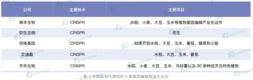 基因编辑技术：驱动农业革新与全球发展的新引擎-世界农化网(图2)