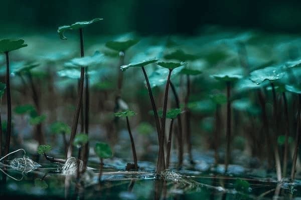 万朗磁塑：洗衣机门封TPE新材料已量产(图1)