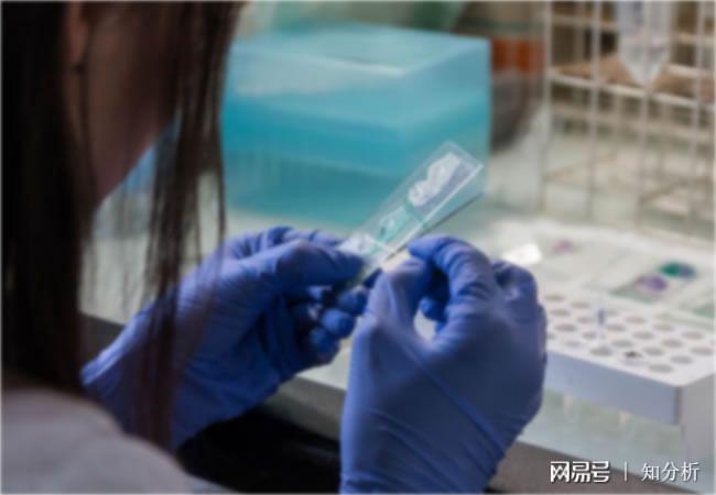 阻燃母粒成分分析阻燃母料配方化验改性塑料产品测定(图2)
