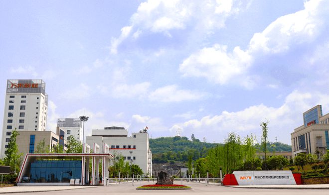 臧红辉：破“卷”升维 在优势领域领跑 在新赛道抢先(图1)
