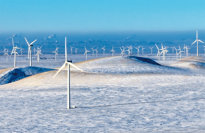 筑牢我国北方重要生态安全屏障(图2)