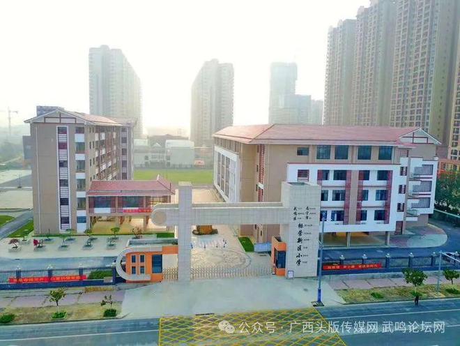 武鸣区（含东盟经开区）2025年幼升小报名须知(图6)