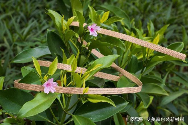 绿色转型纸打包带领跑包装低碳化赛道(图2)