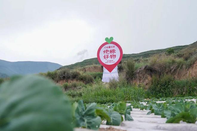 嘴刁打工人靠“戈壁菜”富养自己？(图6)