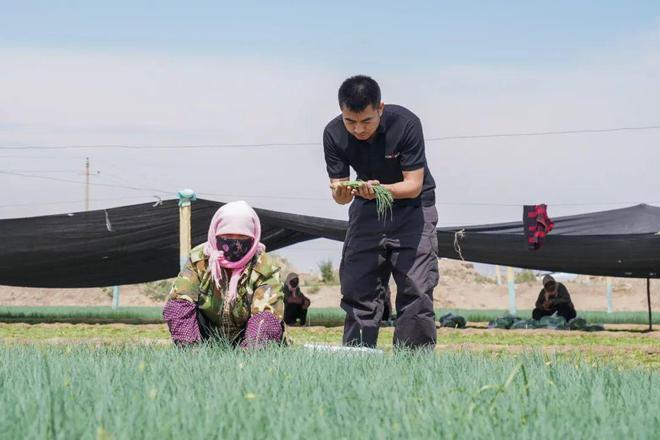 嘴刁打工人靠“戈壁菜”富养自己？(图5)