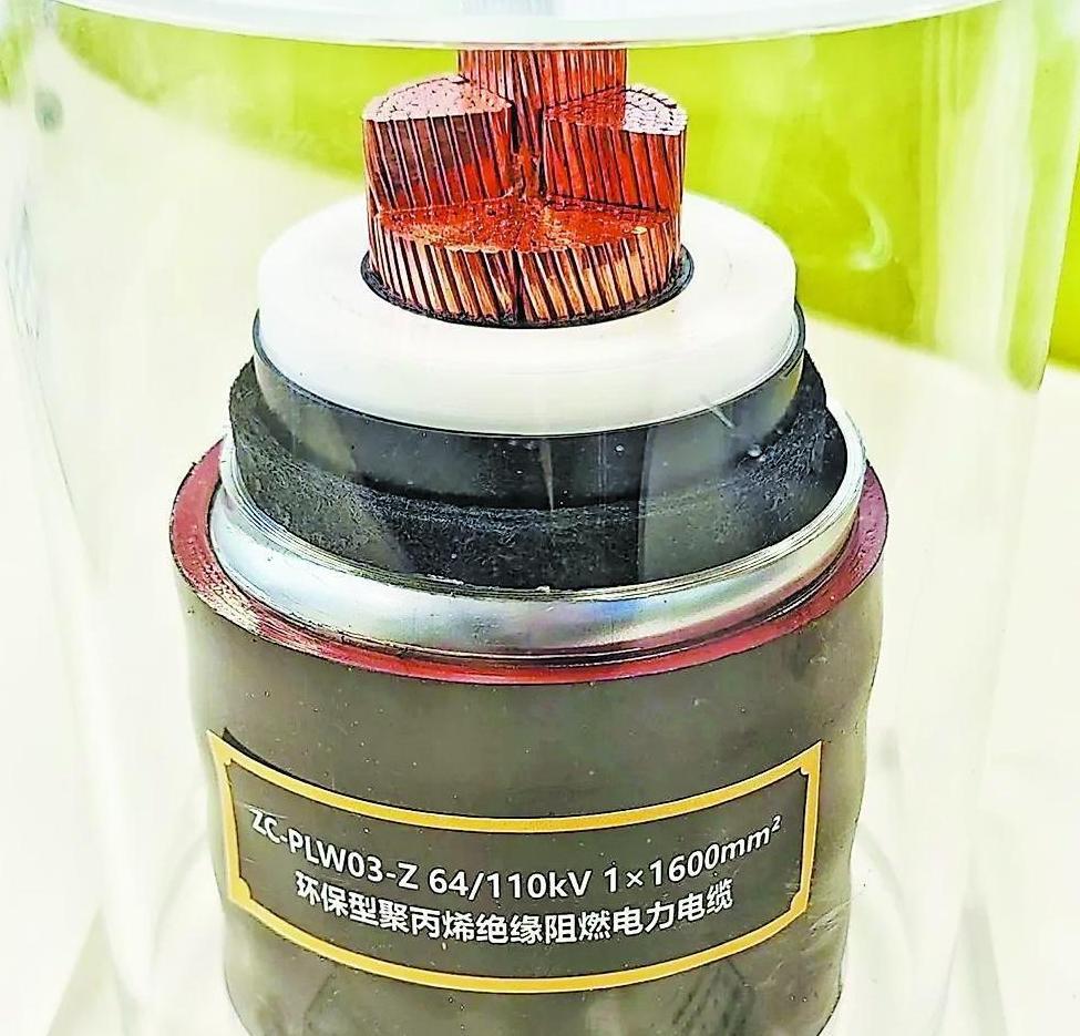 一场超越想象的“橡塑之旅”(图5)