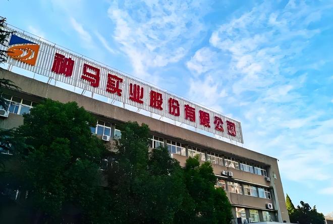6亿资金大挪移！双酚A退尼龙6上神马股份巨亏下强攻己二腈(图2)