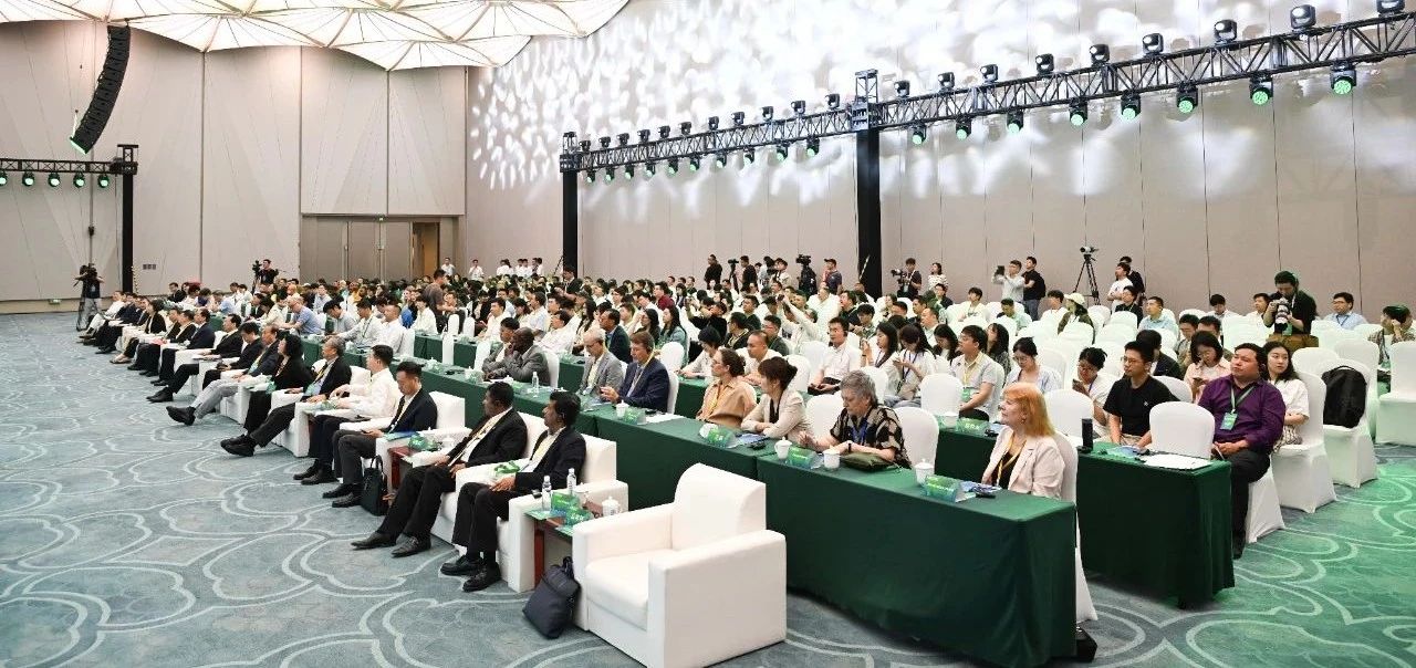 方厅水院迎“首会”2025国际学生环境与可持续发展大会暨全球环境与可持续发展大会在此启幕(图1)