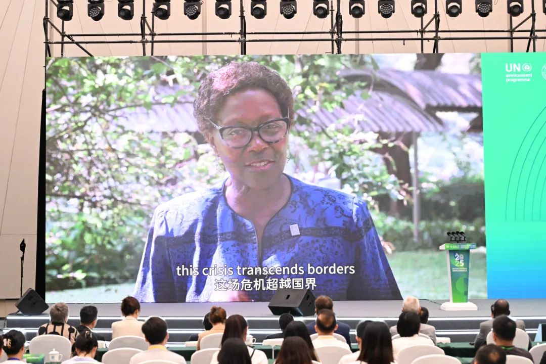 方厅水院迎“首会”2025国际学生环境与可持续发展大会暨全球环境与可持续发展大会在此启幕(图3)