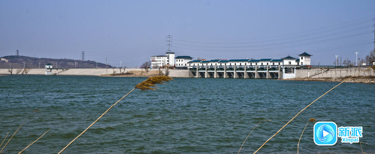 我家门前那条河·弥河篇丨碧水润朐城 潮涌两岸新(图4)