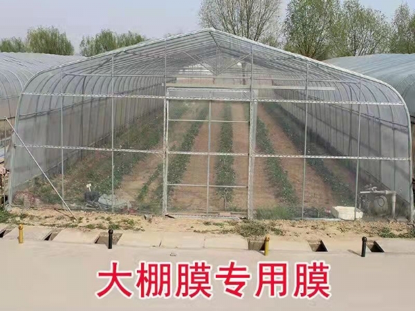 使用大棚塑料膜的好处有哪些？
