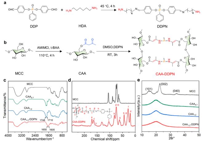 华南理工大学王小慧教授、雷泽芃教授ACS Nano：“一石多鸟”策略打造新型纤维素塑料(图3)