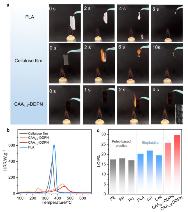 华南理工大学王小慧教授、雷泽芃教授ACS Nano：“一石多鸟”策略打造新型纤维素塑料(图6)