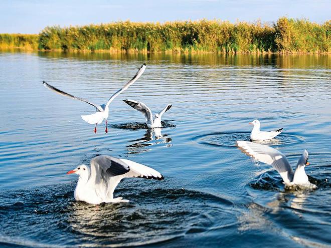 瞭望 “一湖两海”重生记