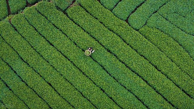 恩施优质旅行社推荐恩施信誉度高的旅行社有哪些！(图3)