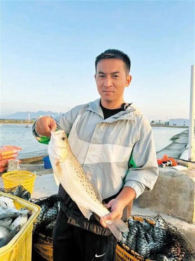 一只青蟹的“触网”远行(图8)