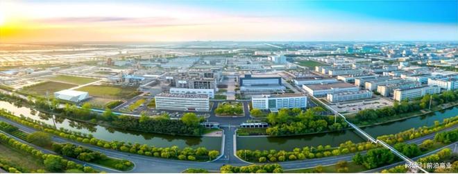 “十五五”规划下新和成新材料领域的长期价值解析