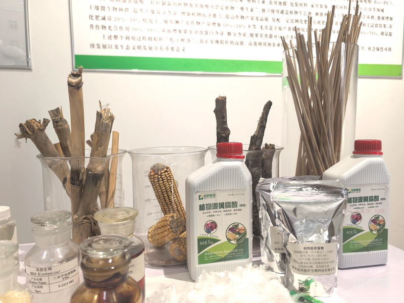 关键词读懂“十五五”｜从一片玻璃到一束秸秆新材料如何重塑未来产业？(图3)