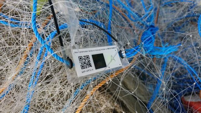 世界渔业日 给渔具装“电子身份证”来实现可持续渔业可行吗？(图7)