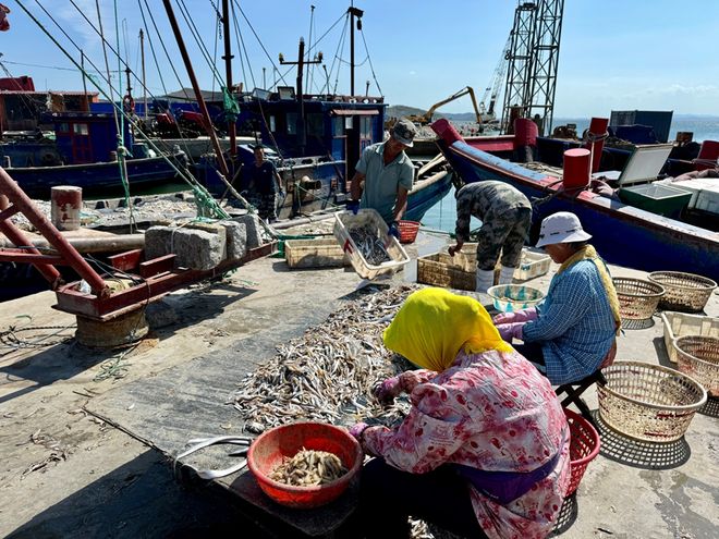 世界渔业日 给渔具装“电子身份证”来实现可持续渔业可行吗？(图8)