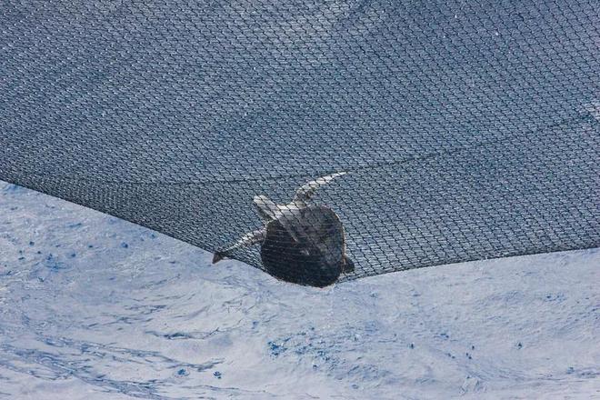 世界渔业日 给渔具装“电子身份证”来实现可持续渔业可行吗？(图3)