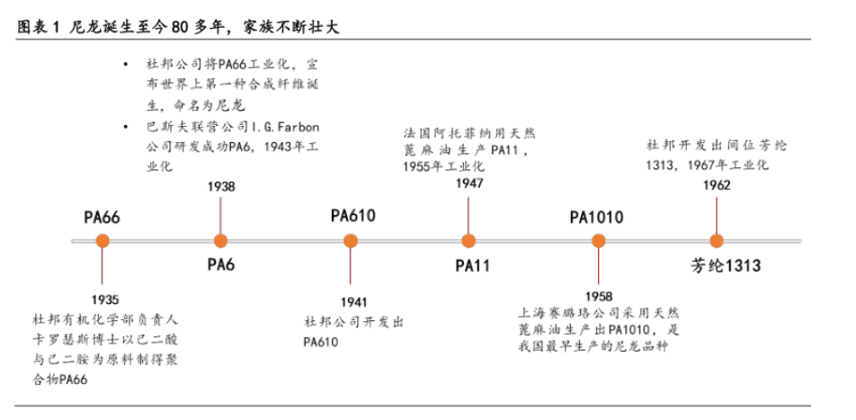 什么是尼龙？谁发明的？尼龙6与66及其应用领域介绍(图1)