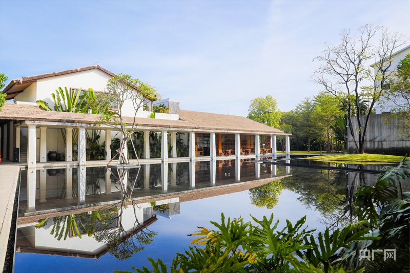 经济大省挑大梁｜从产业一线到山海乡村看广东高质量发展的“硬核支撑”(图4)