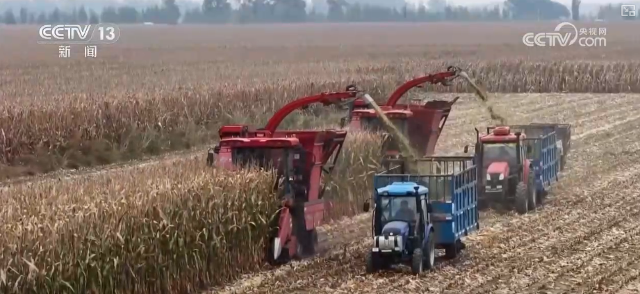 向“好”向“新”绿”新突破！多领域捷报频传 经济发展“新”动力更足(图4)