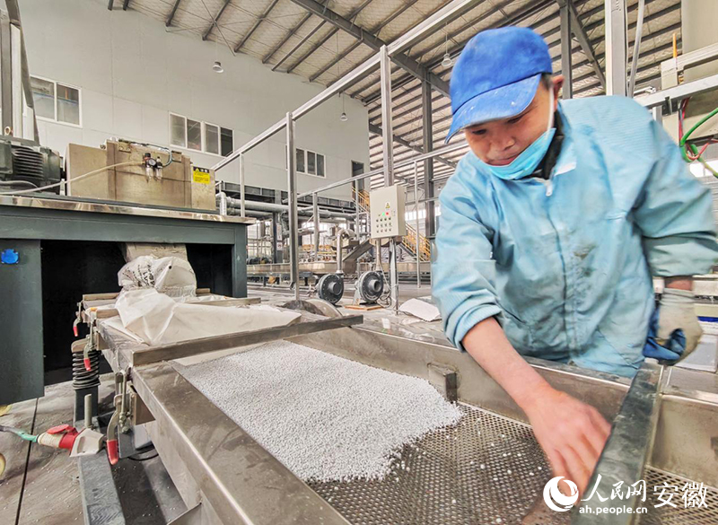 安徽向上丨來安：教授當“副總” 點子變“金子”(图3)