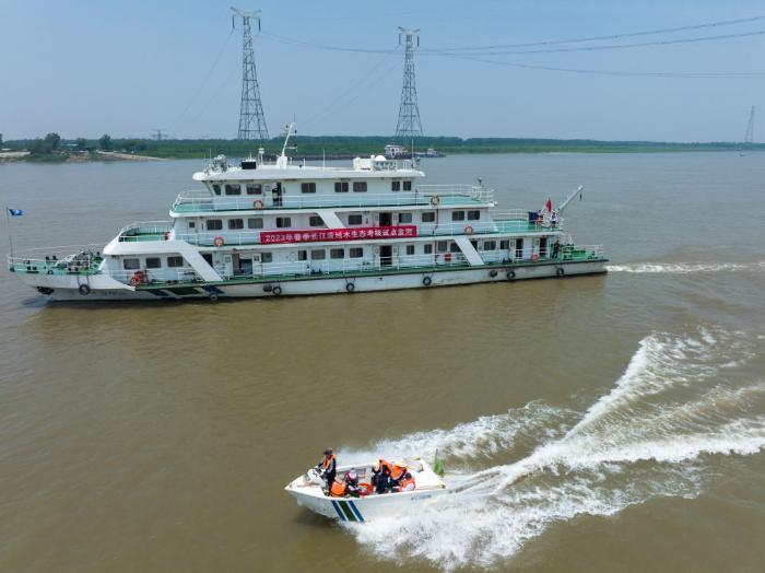 镜观·回响｜守护一江清水永续东流(图4)