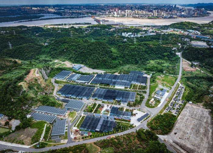 镜观·回响｜守护一江清水永续东流(图12)