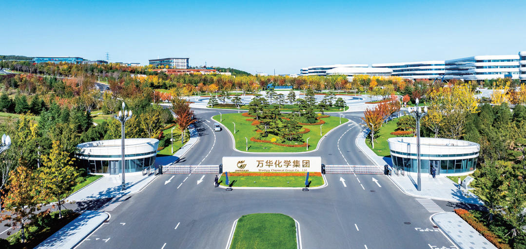 蹲点调查｜万华再造：一家化工巨头的“质变”密码(图4)